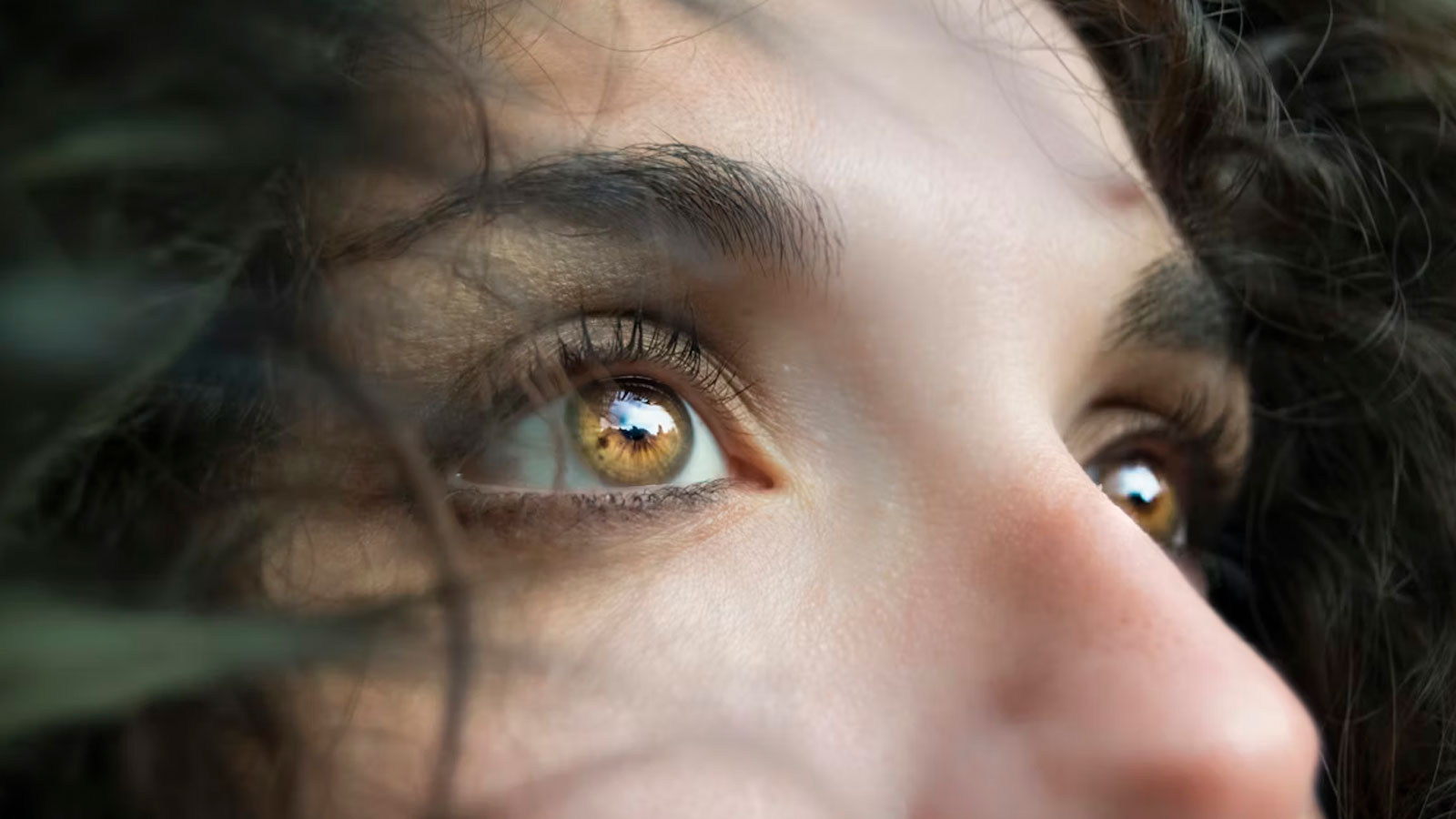 Qual é o maior medo do ser humano?